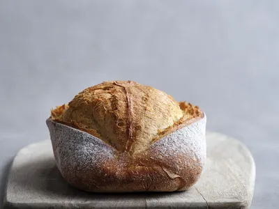 Masa Madre O-Tentic Origin