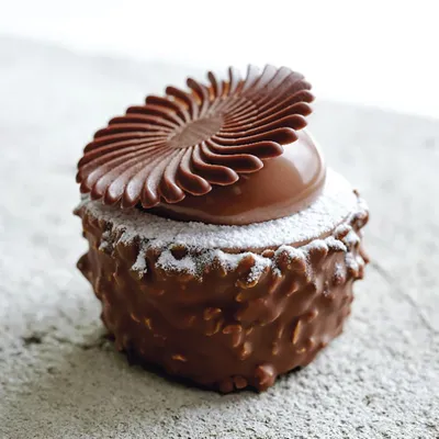 Belcolade Selection M. Plant-Based Cacao-Trace