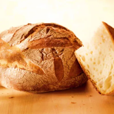 Masa Madre O-Tentic Origin