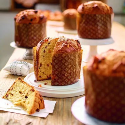 Tegral Panettone