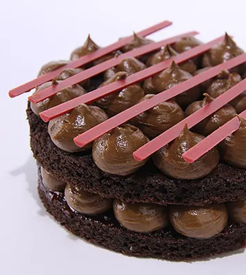 Tegral Moist Chocolate