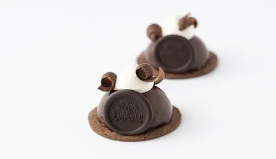 Torta Selva Negra Sustentable