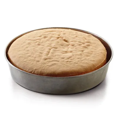 Tegral Bizcocho Sin Azúcar