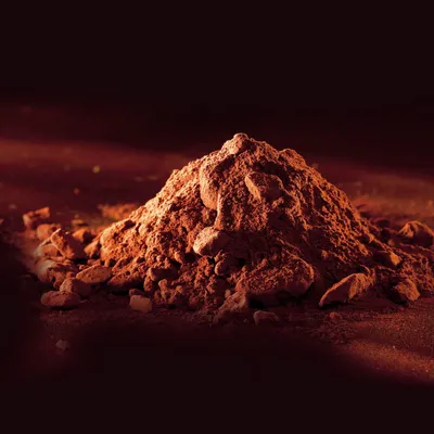 Cacao en Polvo Extra Amargo