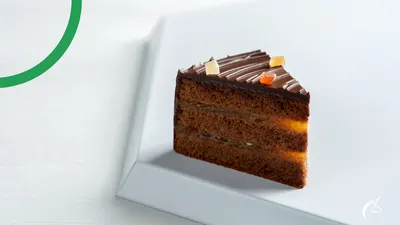 Torta Sacher Salud y Bienestar